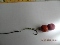 rig& baits !!
